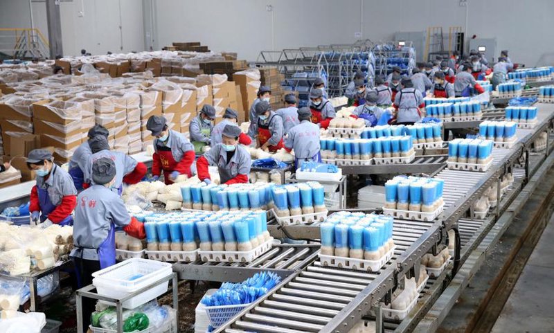 清洁用品批发