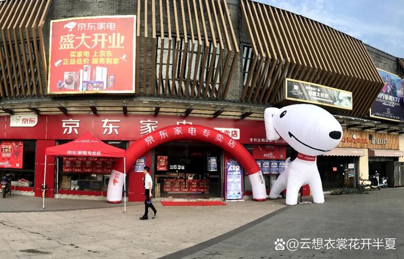 家居百货选购攻略：让你省时又省力!